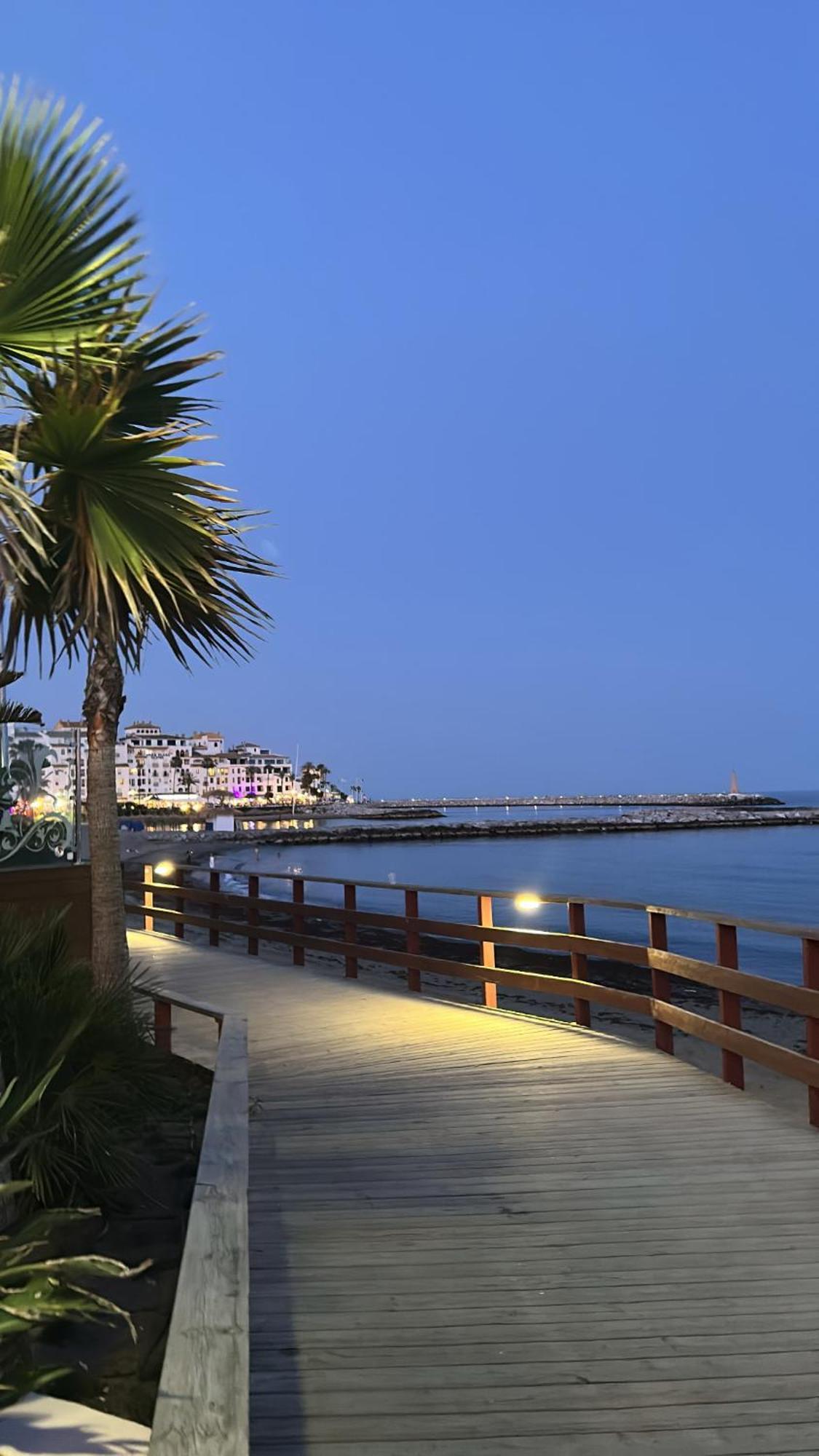 Apartment Puerto Banus Playa